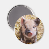 biggetje magneet (Voorkant / Achterkant)