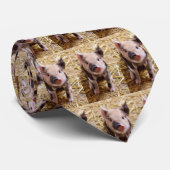 biggetje stropdas (Opgerold)