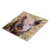 biggetje tegeltje (Zijkant)