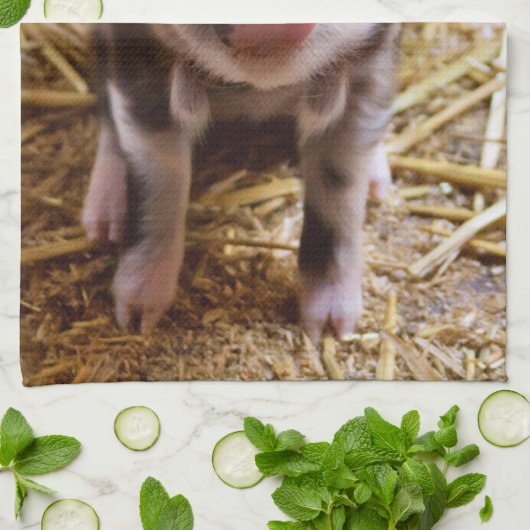 biggetje theedoek (Gevouwen)