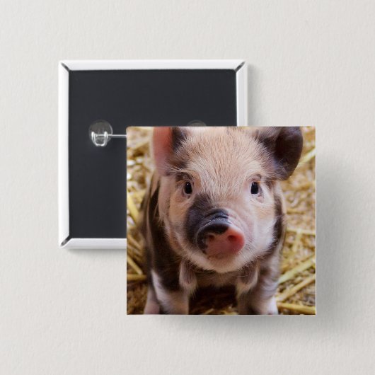 biggetje vierkante button 5,1 cm (Voorkant /achterkant)