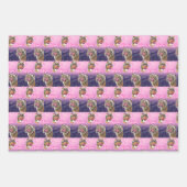 Biggie de Bulldog Giftwrap Set van 3 Inpakpapier Vel (Voorkant 3)