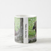 Bighorn Mok (Center)