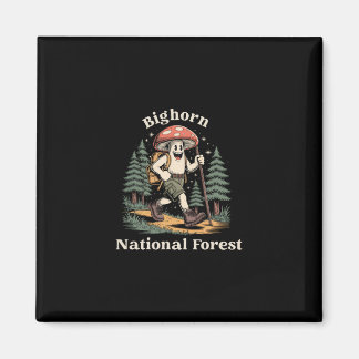 Bighorn National Forest Wyoming Wandelen Paddensto Magneet