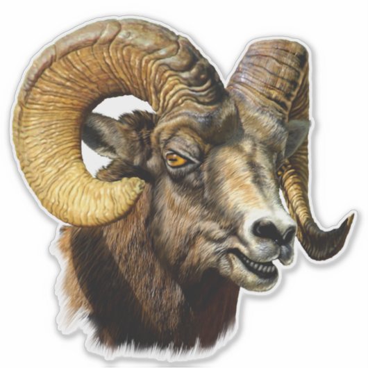 Bighorn Ram Mountain Sheep Wildlife Natuur Sticker (Voorkant)