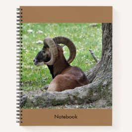 Bighorn Ram-Notitieboek Notitieboek