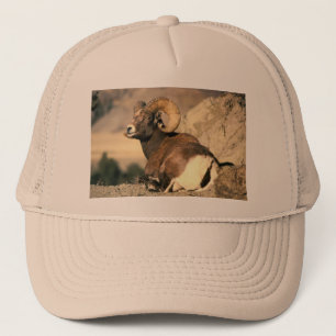 Bighorn Ram Trucker Pet