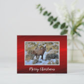 Bighorn Schaap Sneeuw Foto Kerstmis Briefkaart (Staand voorkant)