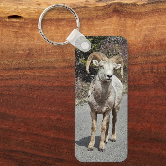 Bighorn Schapen Foto Sleutelhanger (Voorkant)