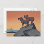 Bighorn Sheep American West Wildlife Briefkaart (Voorkant / Achterkant)