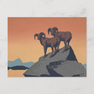 Bighorn Sheep American West Wildlife Briefkaart