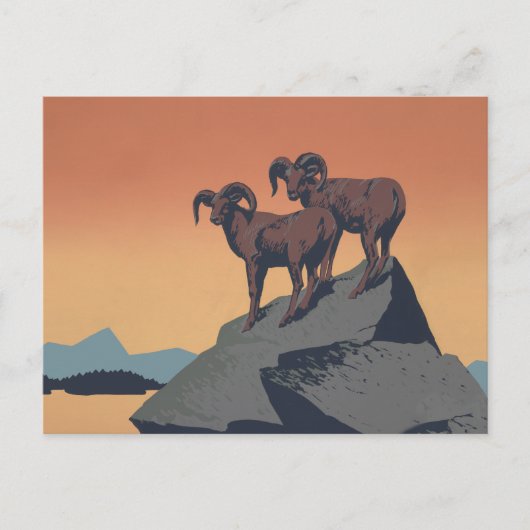 Bighorn Sheep American West Wildlife Briefkaart (Voorkant)
