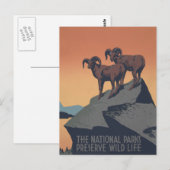 Bighorn Sheep American West Wildlife Briefkaart (Voorkant / Achterkant)