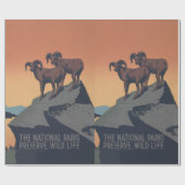 Bighorn Sheep American West Wildlife Cadeaupapier (Vlak)