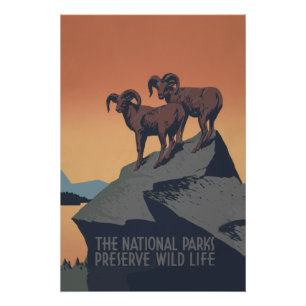 Bighorn Sheep American West Wildlife Perfect Poster
