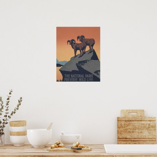 Bighorn Sheep American West Wildlife Poster (Keuken)