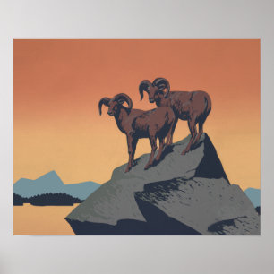 Bighorn Sheep American West Wildlife Poster