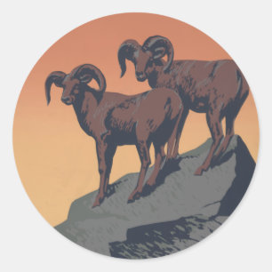 Bighorn Sheep American West Wildlife Ronde Sticker