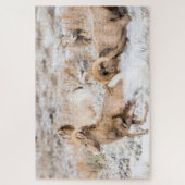 Bighorn Sheep Battle Legpuzzel (Verticaal)
