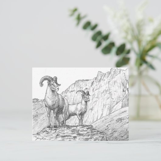Bighorn Sheep Briefkaart (Staand voorkant)