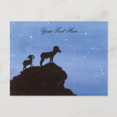 Bighorn Sheep Briefkaart (Voorkant)