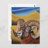 Bighorn Sheep Briefkaart (Voorkant / Achterkant)