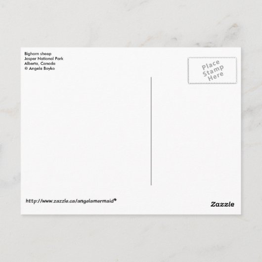 Bighorn Sheep - Canada Briefkaart (Achterkant)