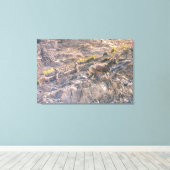 Bighorn Sheep Canvas Afdruk (Insitu (Houten vloer))