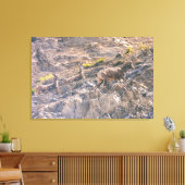 Bighorn Sheep Canvas Afdruk (Insitu (Woonkamer))
