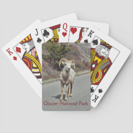 Bighorn Sheep Foto Pokerkaarten