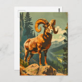  Bighorn Sheep Illustratie Briefkaart (Voorkant / Achterkant)