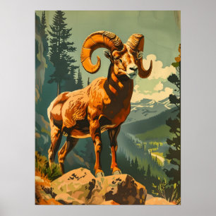 Bighorn Sheep Illustratie Poster