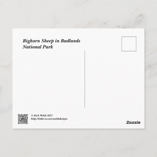 Bighorn sheep in badlands national park briefkaart (Achterkant)