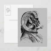 Bighorn Sheep in Suit Briefkaart (Voorkant / Achterkant)