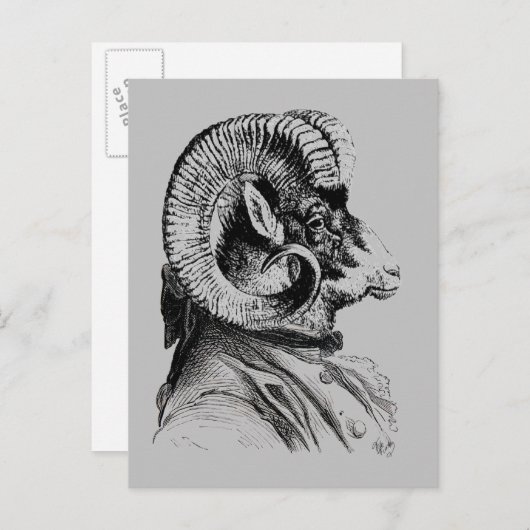 Bighorn Sheep in Suit Briefkaart (Voorkant / Achterkant)