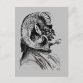 Bighorn Sheep in Suit Briefkaart (Voorkant)