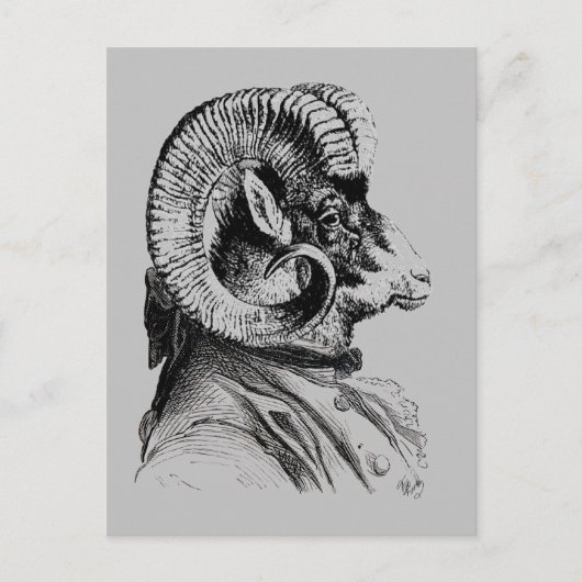 Bighorn Sheep in Suit Briefkaart (Voorkant)