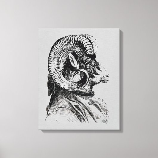 Bighorn Sheep in Suit Canvas Afdruk (Voorkant)