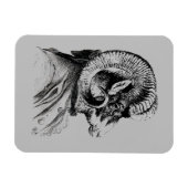 Bighorn Sheep in Suit Magneet (Horizontaal)