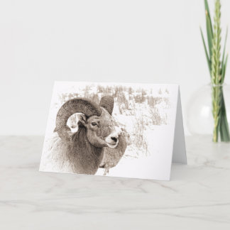 BigHorn Sheep Kaart