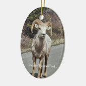 Bighorn Sheep Keramisch Ornament (Links)