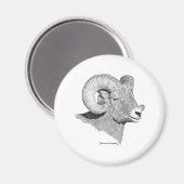 Bighorn Sheep Magneet (Voorkant / Achterkant)