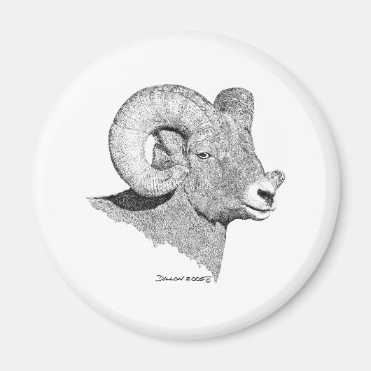 Bighorn Sheep Magneet (Voorkant)