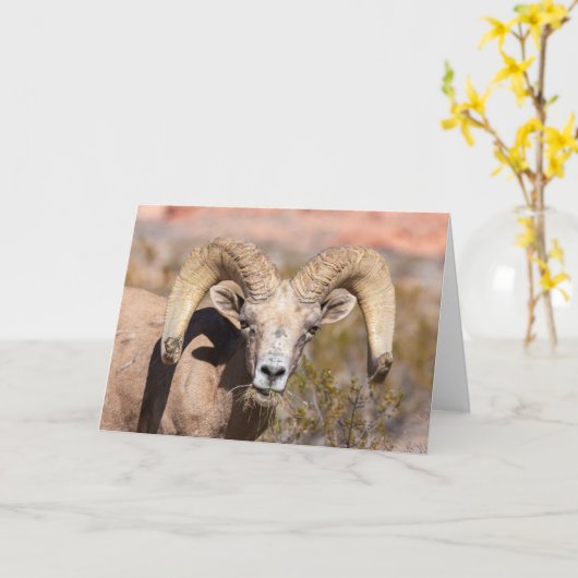 Bighorn Sheep Masculine Wenskaart Kaart (Gele Bloem)