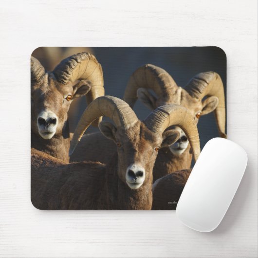Bighorn Sheep Muismat (Met muis)