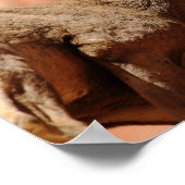 Bighorn Sheep Poster (Hoek)