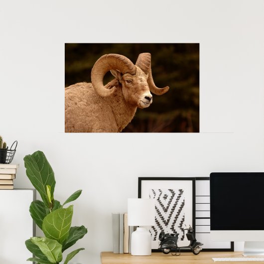 Bighorn Sheep Poster (Thuiskantoor)