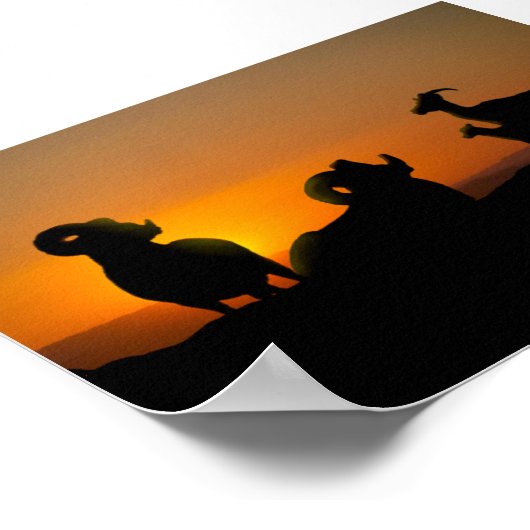 Bighorn Sheep Poster (Hoek)