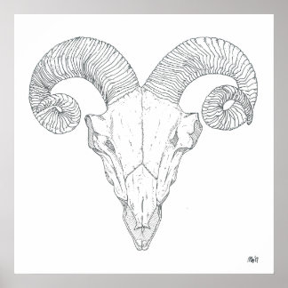 Bighorn Sheep Print (groot)