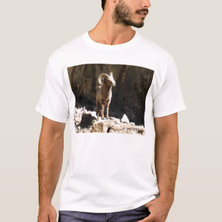 Bighorn Sheep Ram bij stenen in Colorado. T-shirt